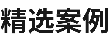 精选案例